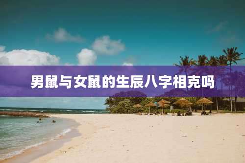 男鼠与女鼠的生辰八字相克吗