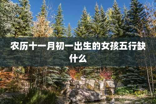 农历十一月初一出生的女孩五行缺什么