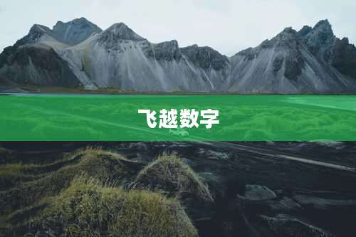 飞越数字