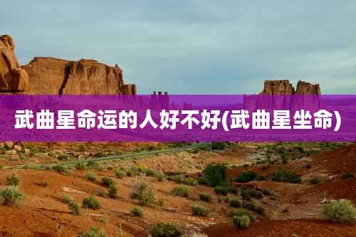 武曲星命运的人好不好(武曲星坐命)