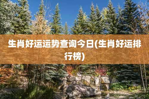 生肖好运运势查询今日(生肖好运排行榜)