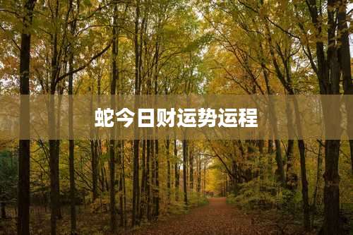 蛇今日财运势运程