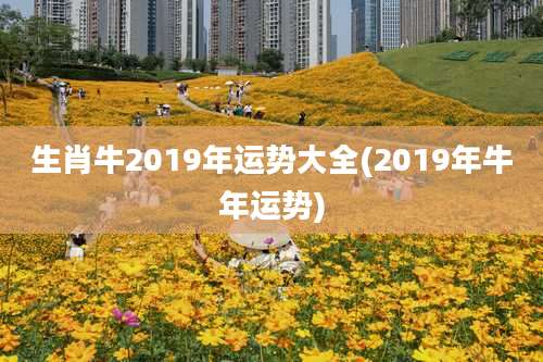 生肖牛2019年运势大全(2019年牛年运势)
