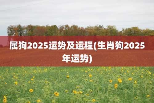 属狗2025运势及运程(生肖狗2025年运势)