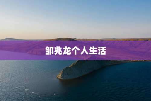 邹兆龙个人生活