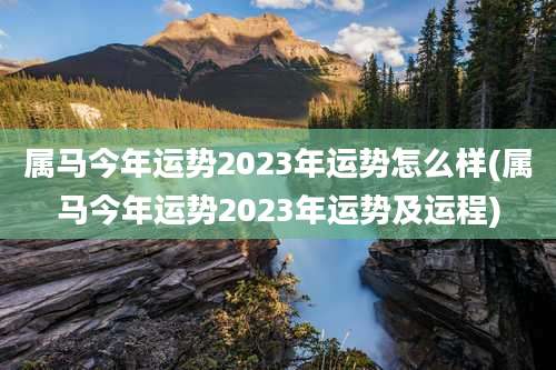 属马今年运势2023年运势怎么样(属马今年运势2023年运势及运程)