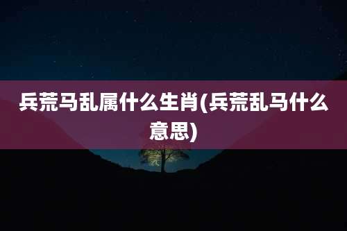 兵荒马乱属什么生肖(兵荒乱马什么意思)