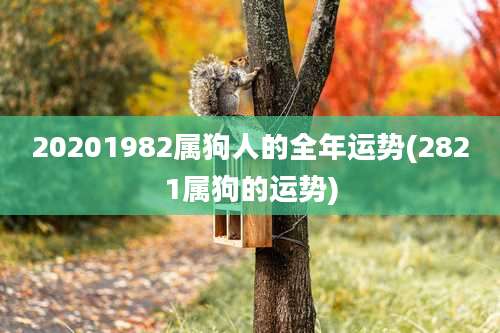 20201982属狗人的全年运势(2821属狗的运势)