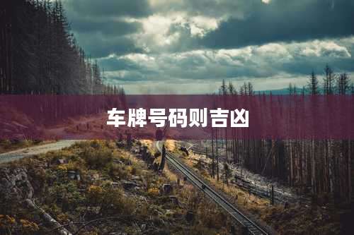 车牌号码则吉凶