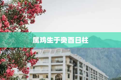 属鸡生于癸酉日柱