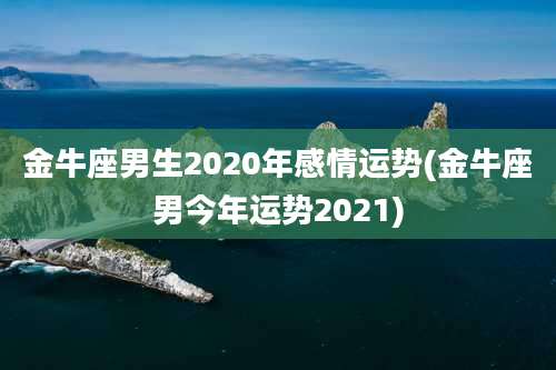 金牛座男生2020年感情运势(金牛座男今年运势2021)