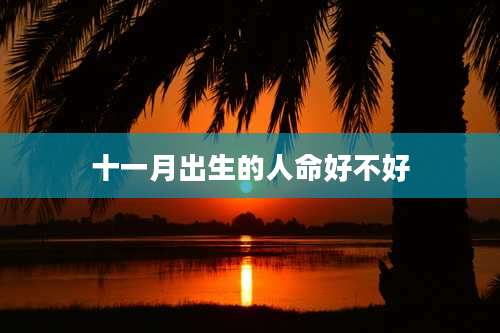 十一月出生的人命好不好