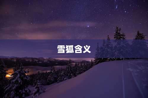 雪狐含义