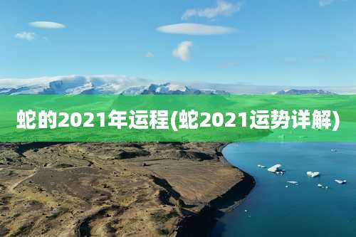 蛇的2021年运程(蛇2021运势详解)