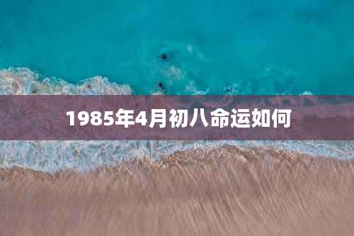1985年4月初八命运如何