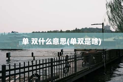 单 双什么意思(单双是啥)