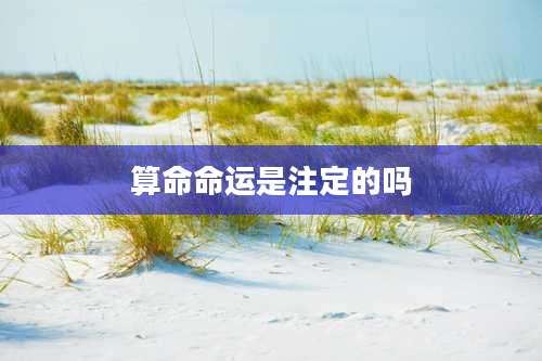算命命运是注定的吗