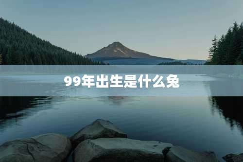 99年出生是什么兔