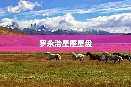 罗永浩星座星盘