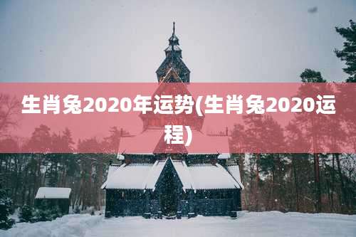 生肖兔2020年运势(生肖兔2020运程)
