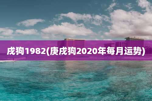 戌狗1982(庚戌狗2020年每月运势)