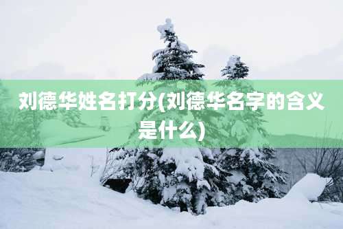 刘德华姓名打分(刘德华名字的含义是什么)