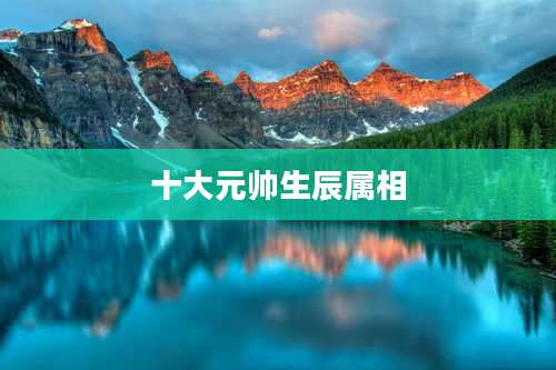 十大元帅生辰属相