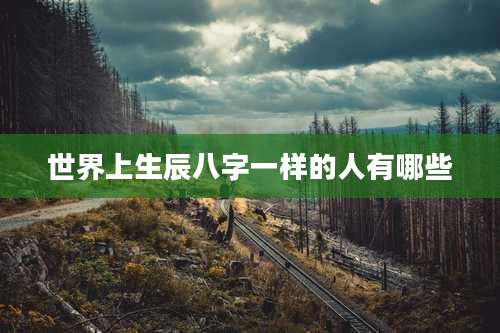世界上生辰八字一样的人有哪些