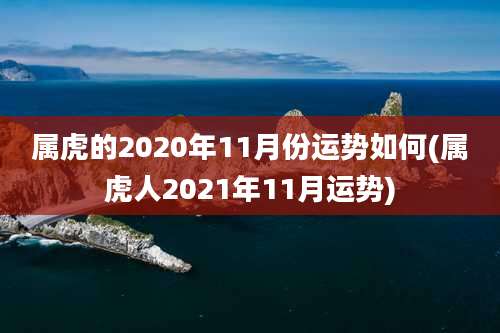 属虎的2020年11月份运势如何(属虎人2021年11月运势)