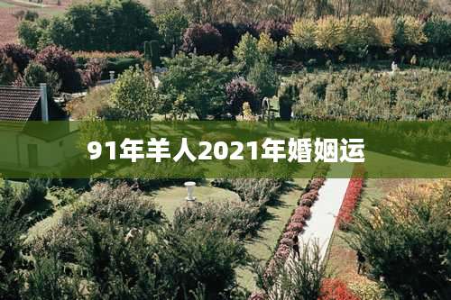 91年羊人2021年婚姻运