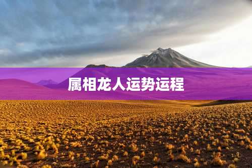 属相龙人运势运程