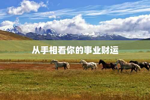 从手相看你的事业财运