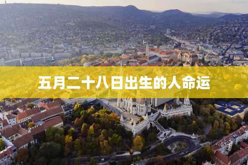 五月二十八日出生的人命运