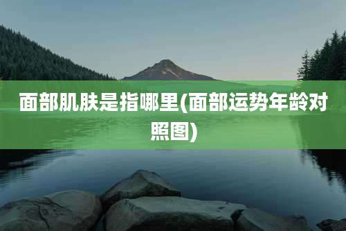 面部肌肤是指哪里(面部运势年龄对照图)