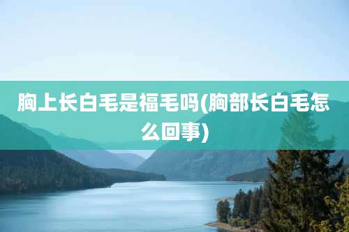 胸上长白毛是福毛吗(胸部长白毛怎么回事)