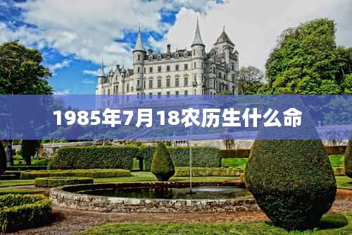 1985年7月18农历生什么命