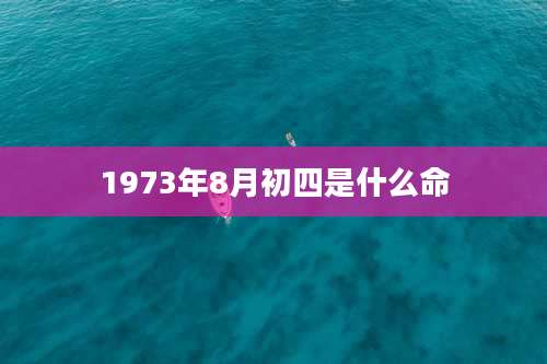1973年8月初四是什么命