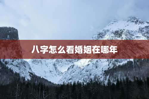 八字怎么看婚姻在哪年