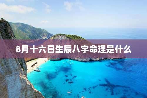8月十六日生辰八字命理是什么