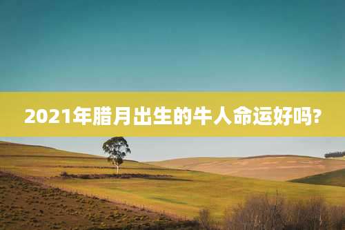 2021年腊月出生的牛人命运好吗?
