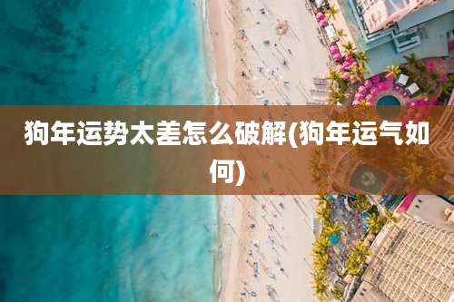 狗年运势太差怎么破解(狗年运气如何)