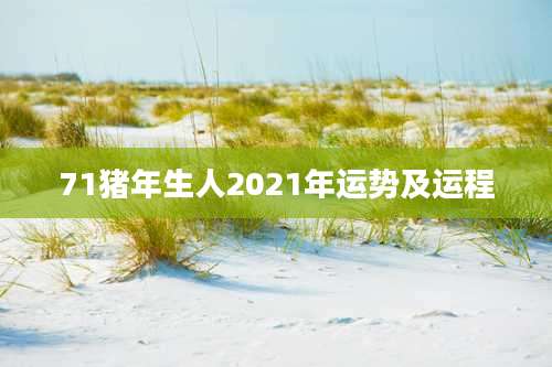 71猪年生人2021年运势及运程
