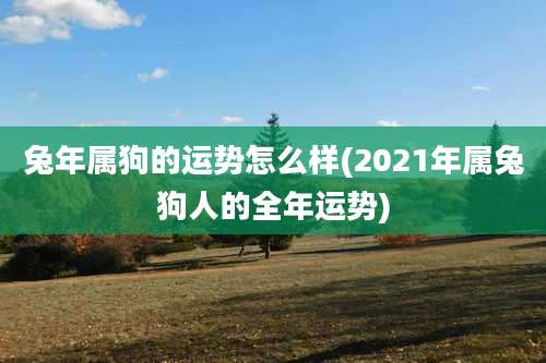 兔年属狗的运势怎么样(2021年属兔狗人的全年运势)