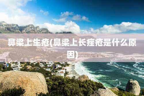 鼻梁上生疮(鼻梁上长痤疮是什么原因)