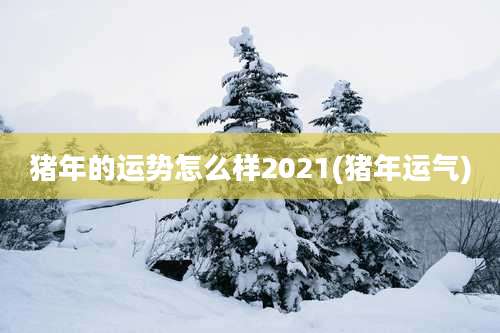 猪年的运势怎么样2021(猪年运气)