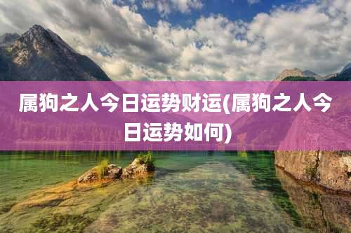 属狗之人今日运势财运(属狗之人今日运势如何)