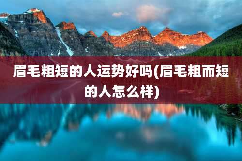眉毛粗短的人运势好吗(眉毛粗而短的人怎么样)