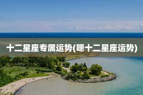 十二星座专属运势(嗯十二星座运势)