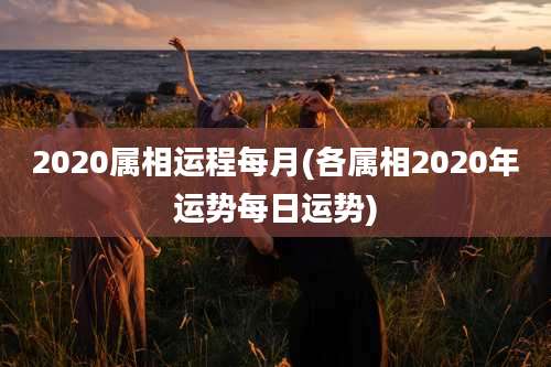 2020属相运程每月(各属相2020年运势每日运势)