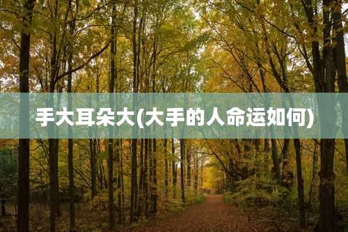 手大耳朵大(大手的人命运如何)